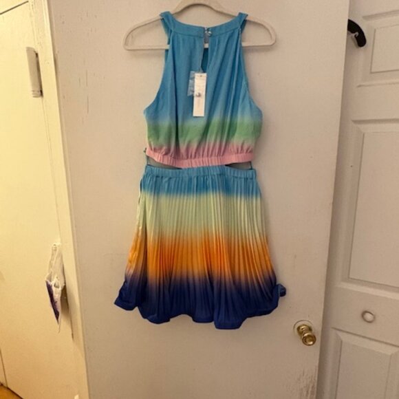 SIMKHAI Braelynn Ombré Plissé Minidress, Sz 10, NWT, Retail $495 - Picture 5 of 9